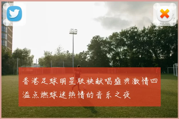 香港足球明星联袂献唱盛典激情四溢点燃球迷热情的音乐之夜