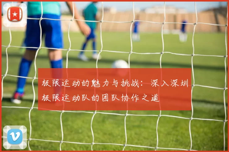 极限运动的魅力与挑战：深入深圳极限运动队的团队协作之道