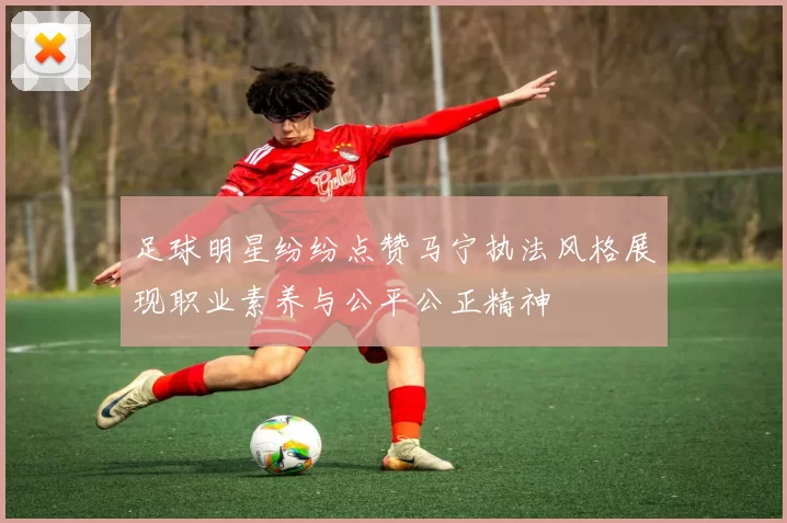 足球明星纷纷点赞马宁执法风格展现职业素养与公平公正精神