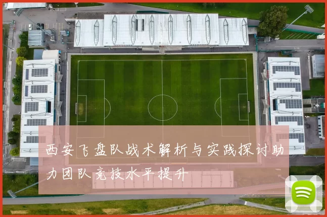 西安飞盘队战术解析与实践探讨助力团队竞技水平提升