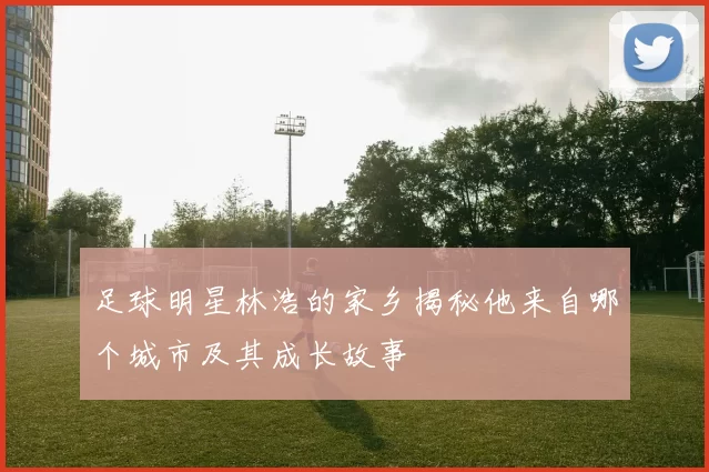 足球明星林浩的家乡揭秘他来自哪个城市及其成长故事