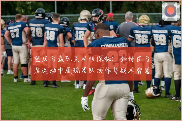 重庆飞盘队灵活性探秘：如何在飞盘运动中展现团队协作与战术智慧