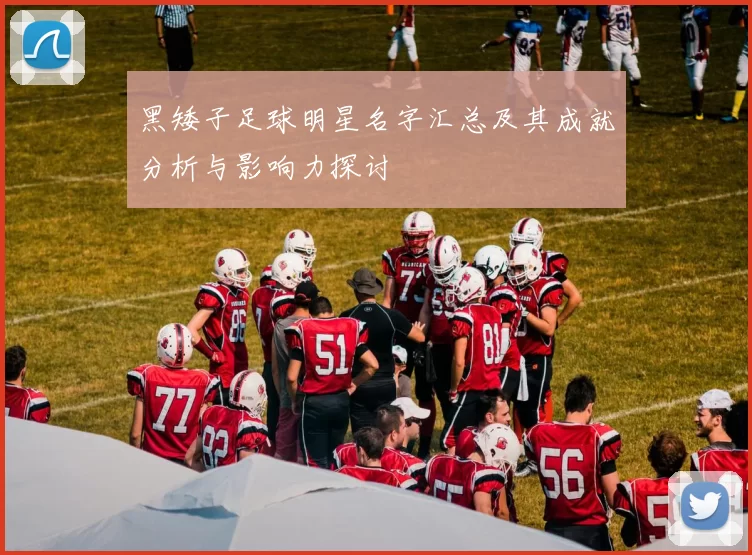 黑矮子足球明星名字汇总及其成就分析与影响力探讨