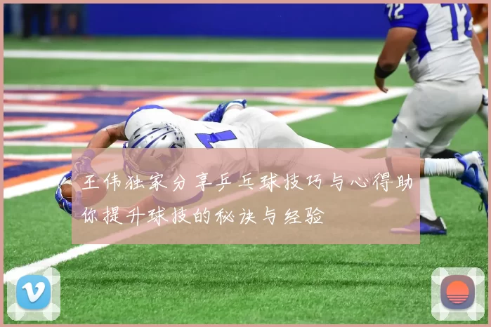 王伟独家分享乒乓球技巧与心得助你提升球技的秘诀与经验