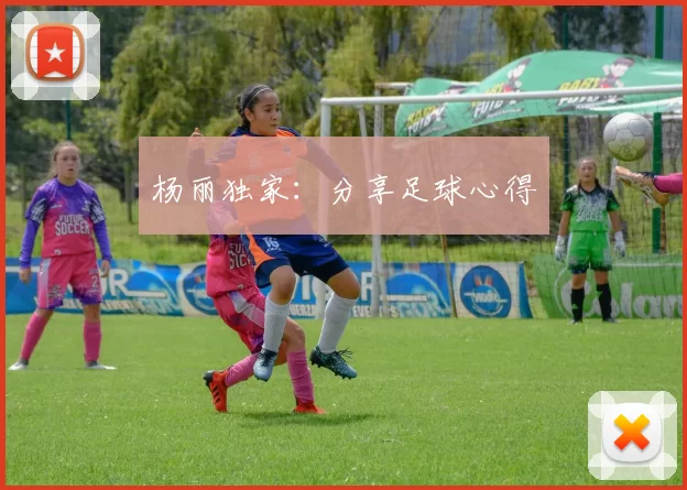 杨丽独家：分享足球心得