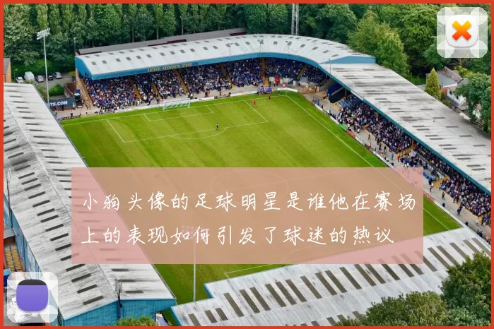 小狗头像的足球明星是谁他在赛场上的表现如何引发了球迷的热议