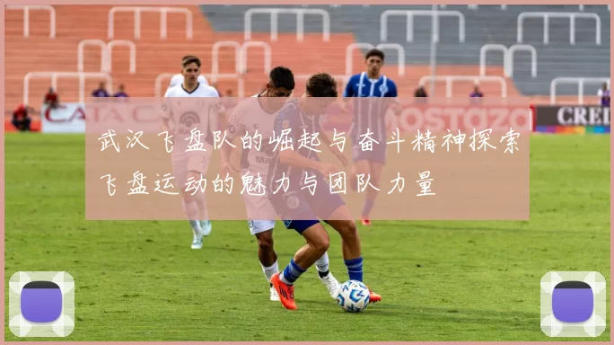 武汉飞盘队的崛起与奋斗精神探索飞盘运动的魅力与团队力量