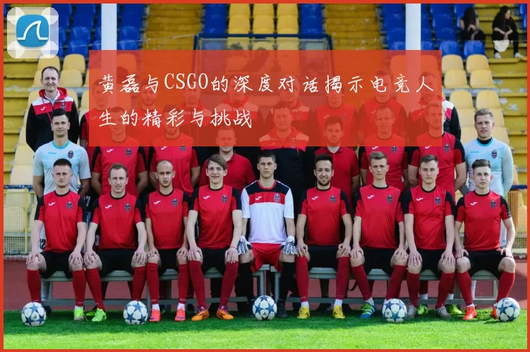 黄磊与CSGO的深度对话揭示电竞人生的精彩与挑战