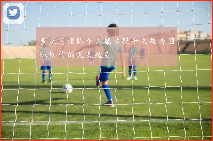 重庆飞盘队个人能力提升之路与团队协作的完美结合