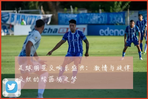 足球明星交响乐盛典：激情与旋律交织的绿茵场之梦